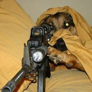 Meet your Posher, Alexander